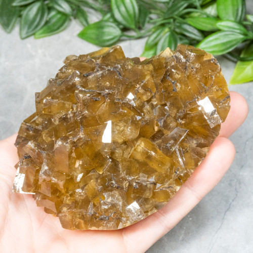 Golden Barite on Fluorite #18