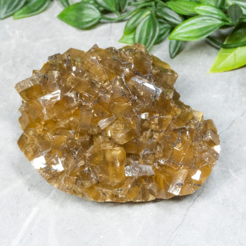 Golden Barite on Fluorite #18