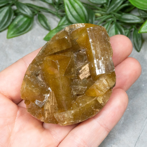 Golden Barite on Fluorite #16