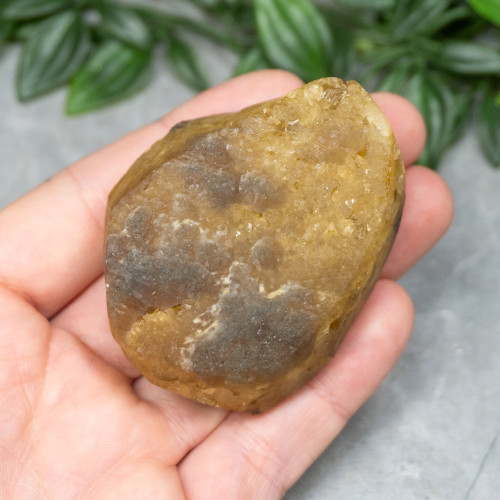 Golden Barite on Fluorite #16