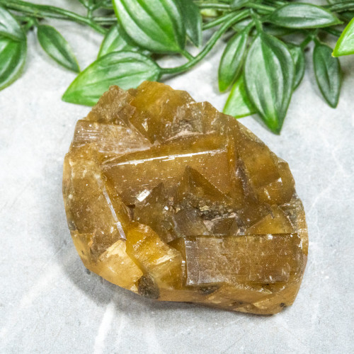 Golden Barite on Fluorite #16