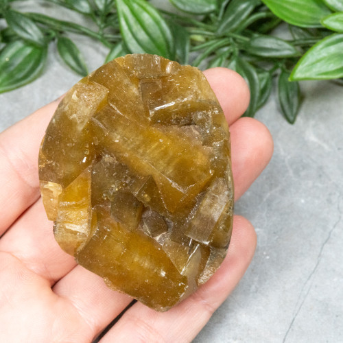 Golden Barite on Fluorite #16