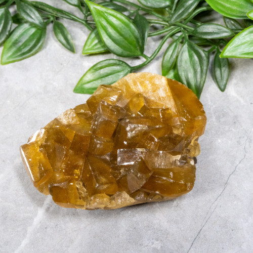 Golden Barite on Fluorite #15