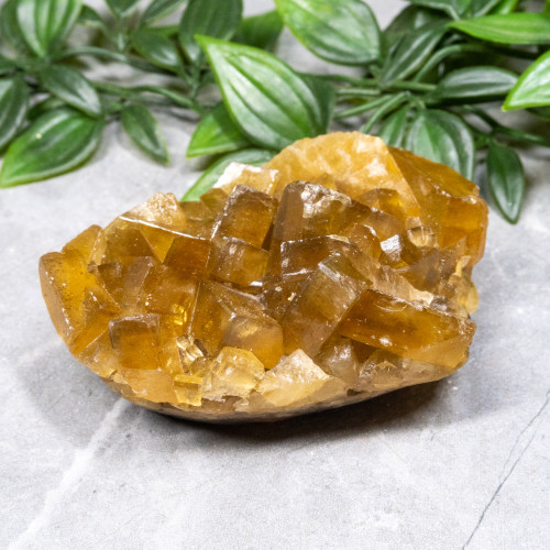 Golden Barite on Fluorite #15