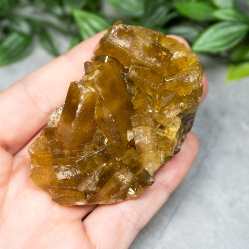 Golden Barite on Fluorite #14