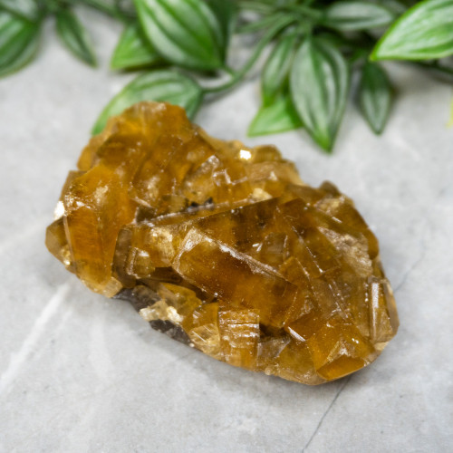 Golden Barite on Fluorite #14