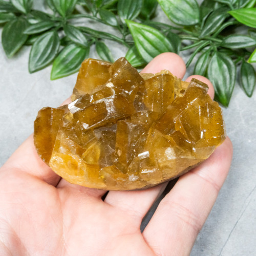 Golden Barite on Fluorite #15