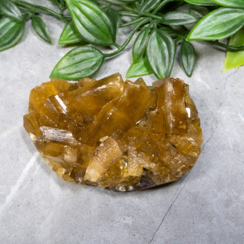 Golden Barite on Fluorite #14