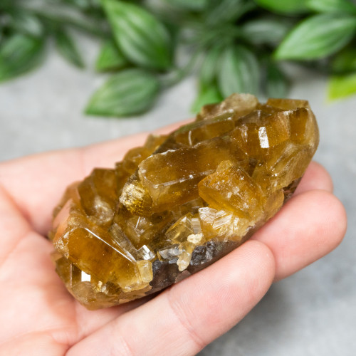 Golden Barite on Fluorite #14