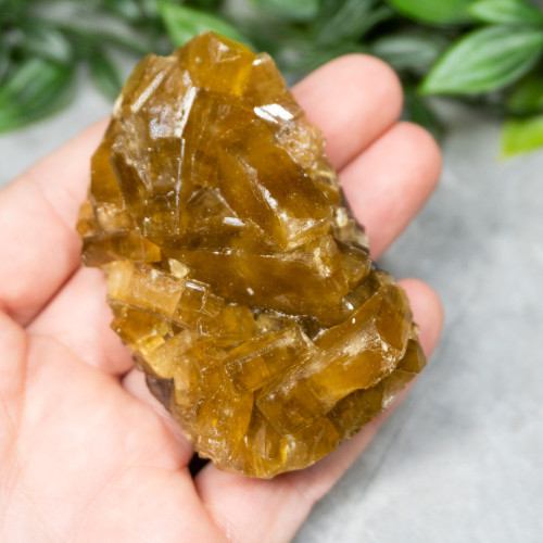 Golden Barite on Fluorite #14