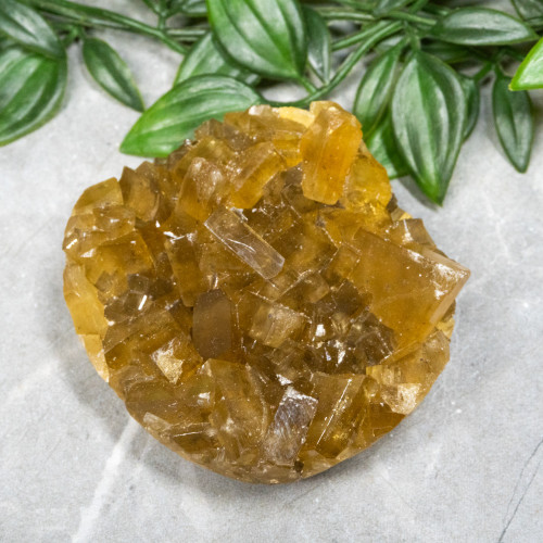 Golden Barite on Fluorite #13