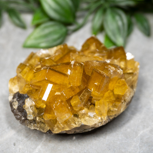 Golden Barite on Fluorite #12