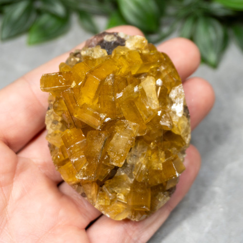 Golden Barite on Fluorite #12