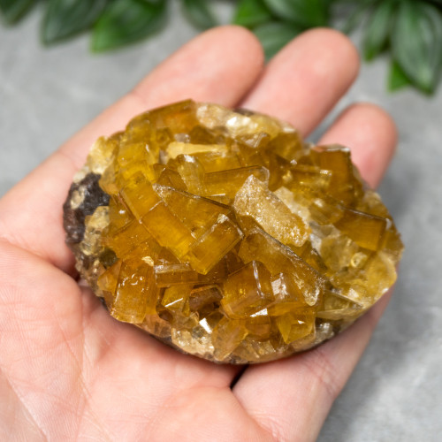 Golden Barite on Fluorite #12