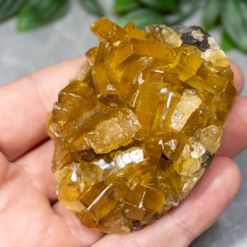Golden Barite on Fluorite #12