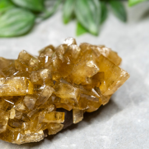 Golden Barite on Fluorite #11