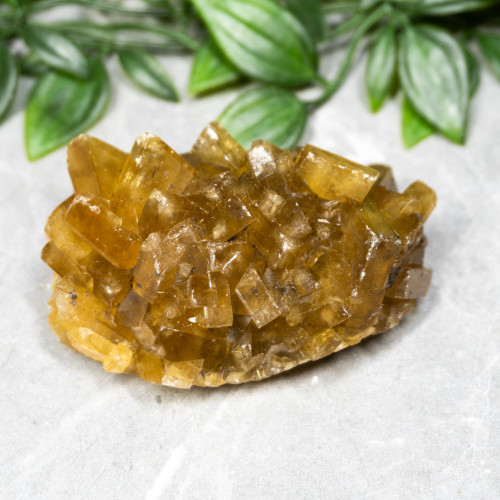 Golden Barite on Fluorite #11