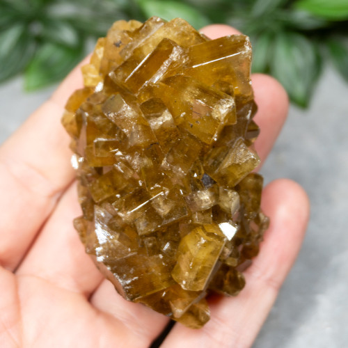 Golden Barite on Fluorite #11