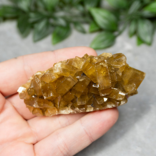 Golden Barite on Fluorite #10