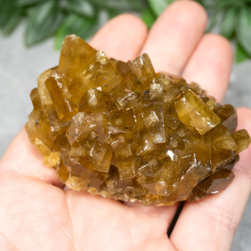 Golden Barite on Fluorite #11