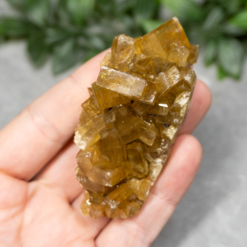 Golden Barite on Fluorite #10