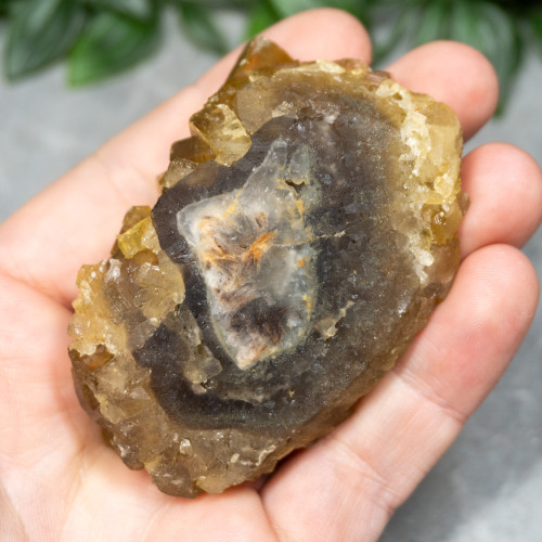 Golden Barite on Fluorite #11