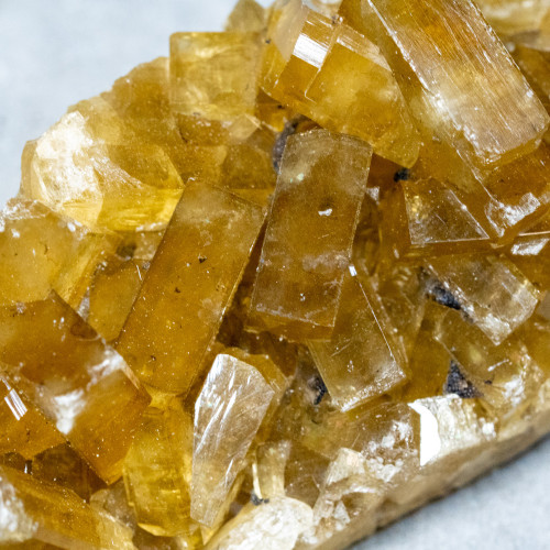 Golden Barite on Fluorite #10