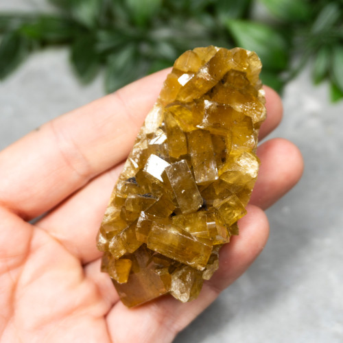 Golden Barite on Fluorite #10