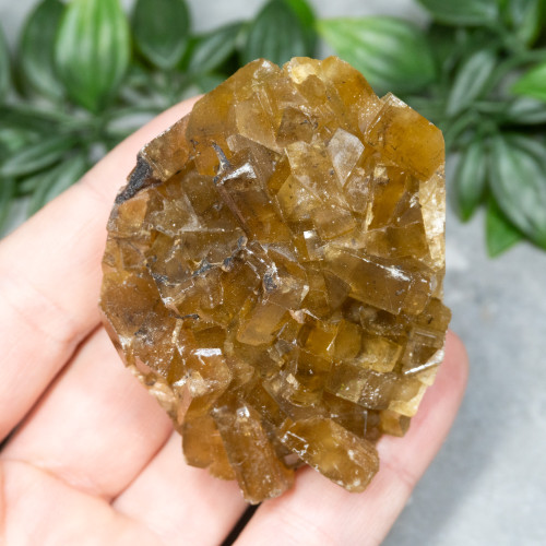 Golden Barite on Fluorite #9