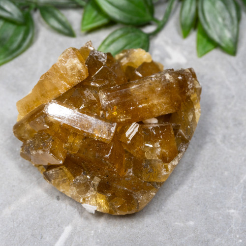 Golden Barite on Fluorite #8