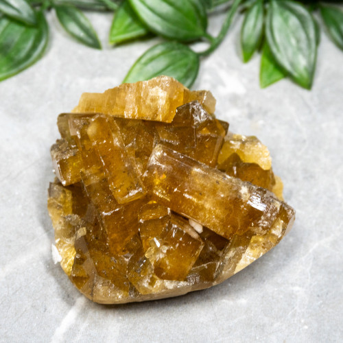 Golden Barite on Fluorite #8