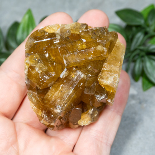 Golden Barite on Fluorite #8