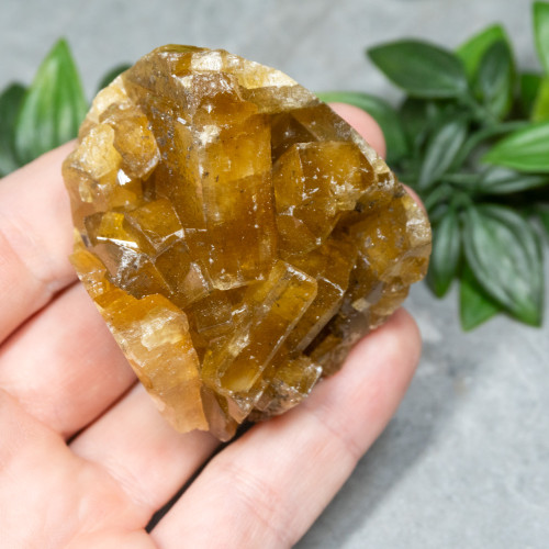 Golden Barite on Fluorite #8