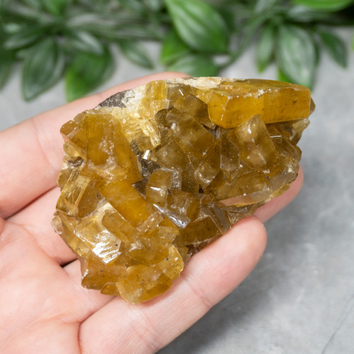 Golden Barite on Fluorite #6