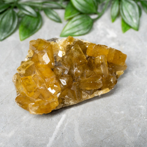 Golden Barite on Fluorite #6