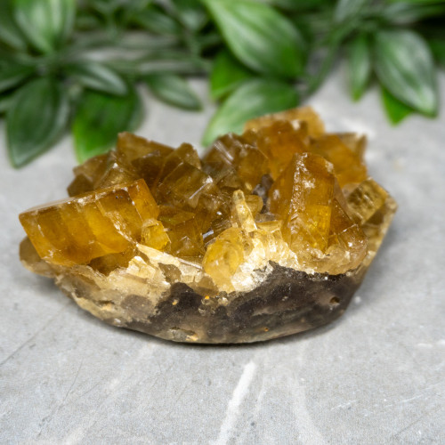 Golden Barite on Fluorite #6