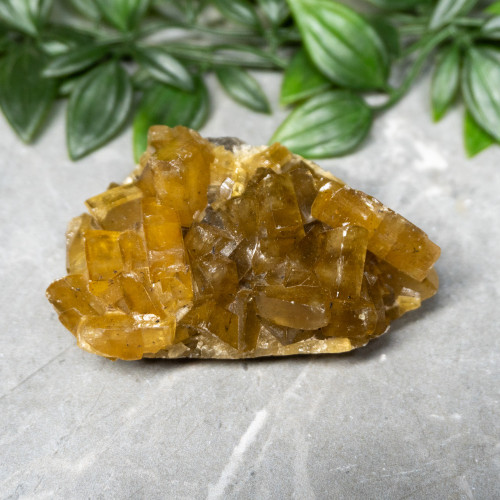 Golden Barite on Fluorite #6