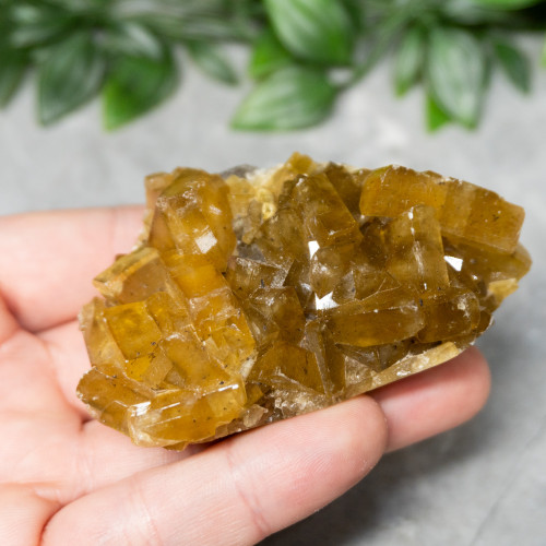 Golden Barite on Fluorite #6