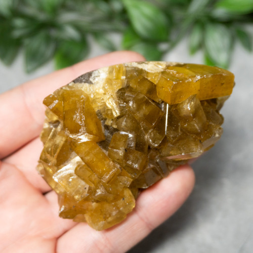 Golden Barite on Fluorite #6