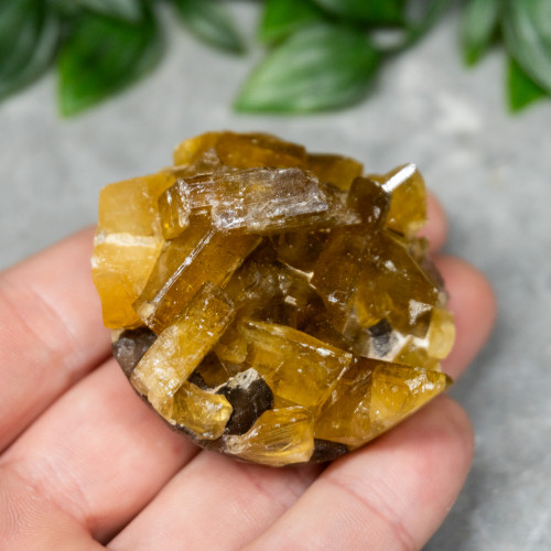 Golden Barite on Fluorite #5