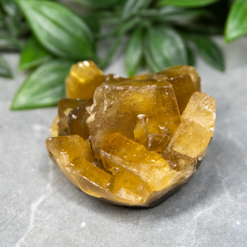 Golden Barite on Fluorite #5