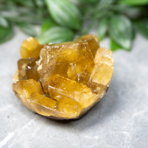 Golden Barite on Fluorite #5
