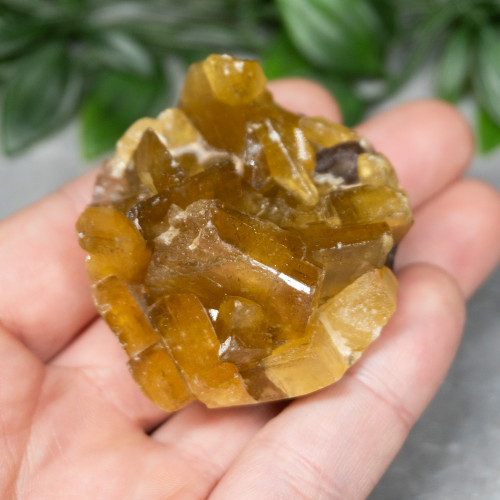 Golden Barite on Fluorite #5