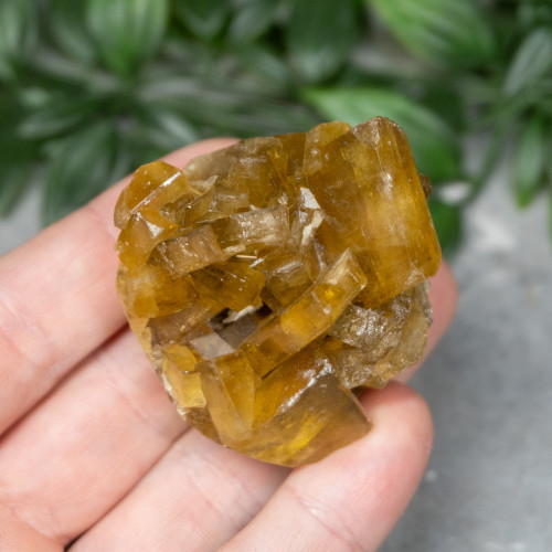 Golden Barite on Fluorite #4