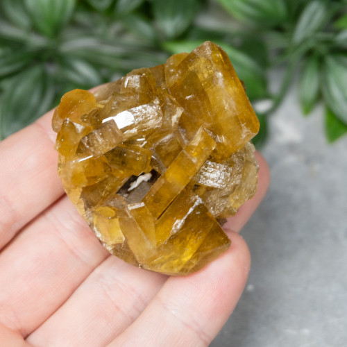 Golden Barite on Fluorite #4