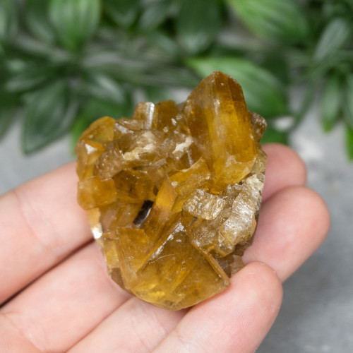 Golden Barite on Fluorite #4