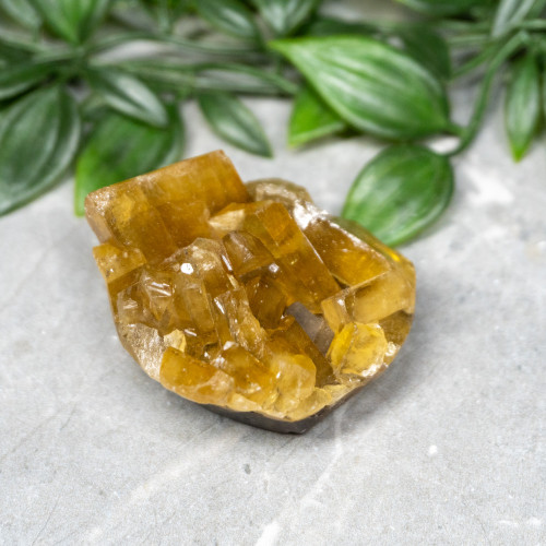 Golden Barite on Fluorite #4