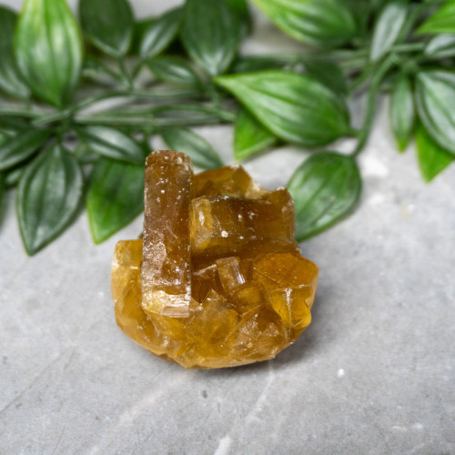 Golden Barite on Fluorite #3