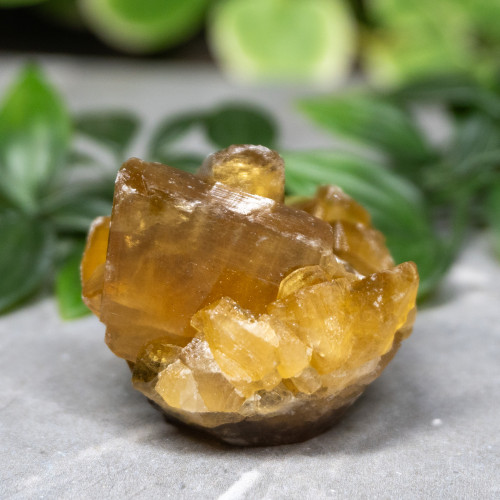 Golden Barite on Fluorite #3