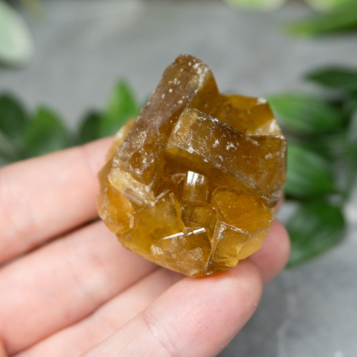 Golden Barite on Fluorite #3